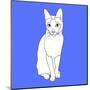 Cat With Markings-Anna Nyberg-Mounted Art Print
