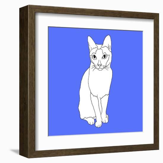 Cat With Markings-Anna Nyberg-Framed Giclee Print