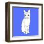 Cat With Markings-Anna Nyberg-Framed Giclee Print