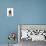 Cat with Nest and Blue Bird-Fab Funky-Stretched Canvas displayed on a wall