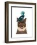 Cat with Nest and Blue Bird-Fab Funky-Framed Art Print