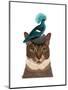 Cat with Nest and Blue Bird-Fab Funky-Mounted Art Print