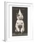 Cat with Pointed Hat, Court Jester-null-Framed Art Print