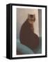 Cat with Small Head-null-Framed Stretched Canvas