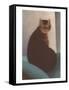 Cat with Small Head-null-Framed Stretched Canvas