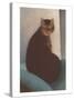 Cat with Small Head-null-Stretched Canvas