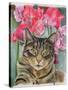 Cat with Sweet Peas-Anne Robinson-Stretched Canvas