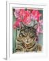 Cat with Sweet Peas-Anne Robinson-Framed Giclee Print