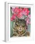 Cat with Sweet Peas-Anne Robinson-Framed Giclee Print