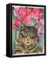 Cat with Sweet Peas-Anne Robinson-Framed Stretched Canvas