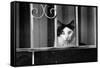 Cat With Yellow Eyes-null-Framed Stretched Canvas