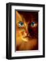 Cat Woman-Jim Warren-Framed Premium Giclee Print