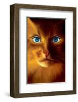 Cat Woman-Jim Warren-Framed Premium Giclee Print