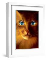 Cat Woman-Jim Warren-Framed Premium Giclee Print