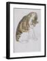 Cat-Gwendolen John-Framed Premium Giclee Print