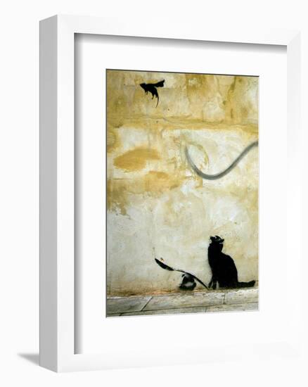 Cat-Banksy-Framed Giclee Print