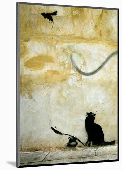 Cat-Banksy-Mounted Giclee Print