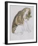 Cat-Gwendolen John-Framed Giclee Print