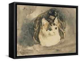 Cat-Gwen John-Framed Stretched Canvas