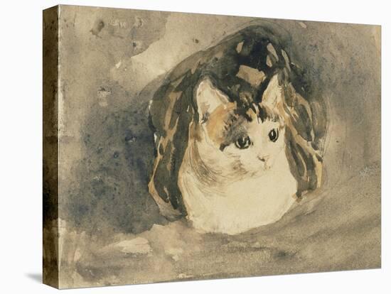 Cat-Gwen John-Stretched Canvas