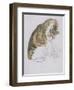 Cat-Gwen John-Framed Giclee Print