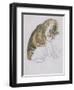 Cat-Gwen John-Framed Giclee Print