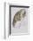 Cat-Gwen John-Framed Giclee Print