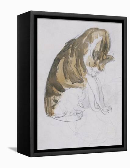 Cat-Gwen John-Framed Stretched Canvas