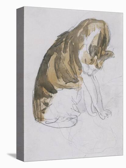 Cat-Gwen John-Stretched Canvas