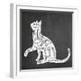 Cat-Erin Clark-Framed Giclee Print