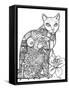 Cat-Oxana Zaika-Framed Stretched Canvas