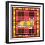 Cat-David Sheskin-Framed Giclee Print