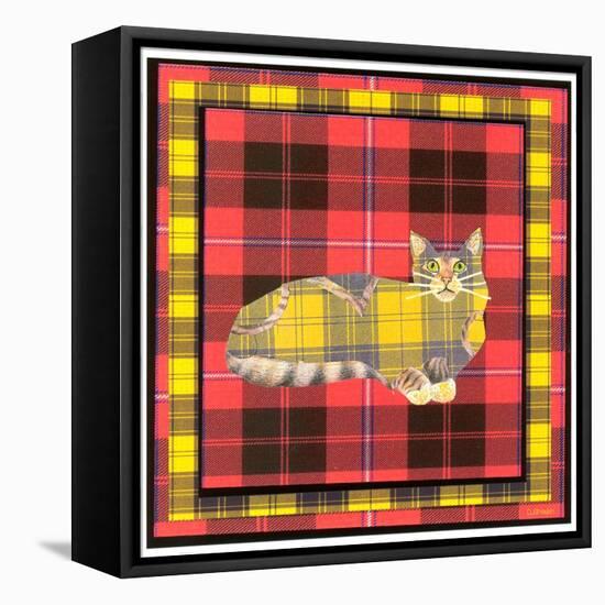 Cat-David Sheskin-Framed Stretched Canvas