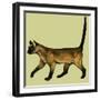 Cat-null-Framed Giclee Print