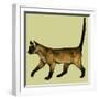 Cat-null-Framed Giclee Print