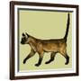 Cat-null-Framed Giclee Print