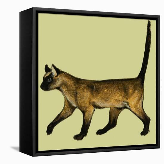 Cat-null-Framed Stretched Canvas