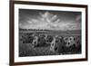 Catacombs-Eye Of The Mind Photography-Framed Photographic Print