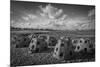 Catacombs-Eye Of The Mind Photography-Mounted Photographic Print