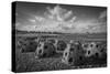 Catacombs-Eye Of The Mind Photography-Stretched Canvas