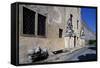 Catajo Castle-null-Framed Stretched Canvas
