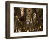 Catalan Gothic Church of Santa Maria Del Mar, Barcelona, Catalonia, Spain, Europe-Carlo Morucchio-Framed Photographic Print