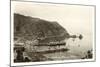 Catalina Harbor-null-Mounted Art Print