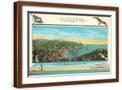 Brown Frame