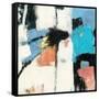 Catalina I Cool Chromatic-Mike Schick-Framed Stretched Canvas