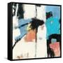 Catalina I Cool Chromatic-Mike Schick-Framed Stretched Canvas