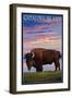 Catalina Island, California - Bison and Sunset-Lantern Press-Framed Art Print