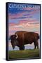 Catalina Island, California - Bison and Sunset-Lantern Press-Stretched Canvas