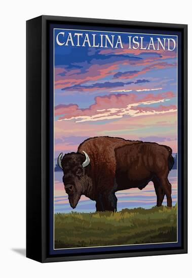 Catalina Island, California - Bison and Sunset-Lantern Press-Framed Stretched Canvas