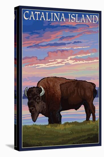 Catalina Island, California - Bison and Sunset-Lantern Press-Stretched Canvas